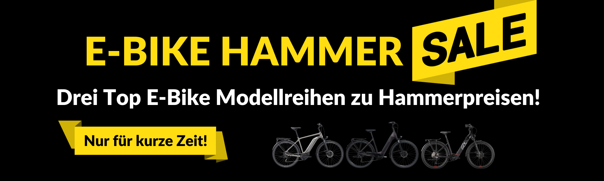 Bicibene Hammer Sale Kampagne - Banner Website